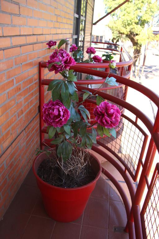Hosteria Maryland Посадас Екстериор снимка